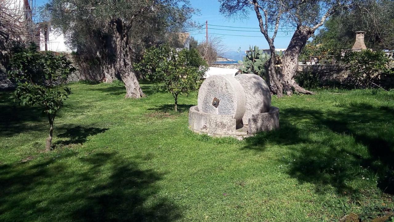Baronessa'S Apartments Γάιος Εξωτερικό φωτογραφία